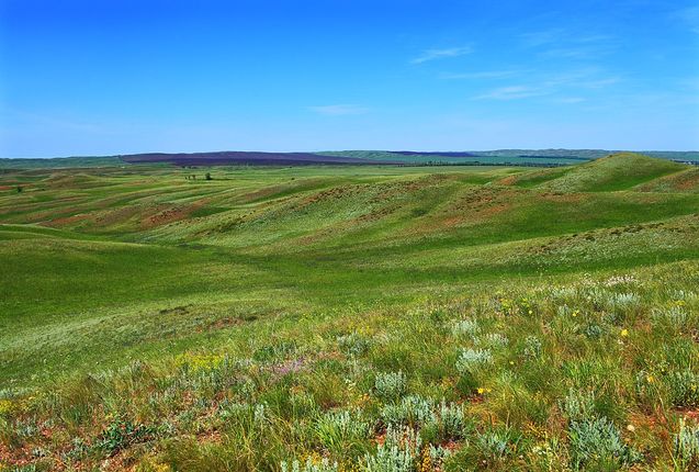 Импортозаместились и перешли на 12-часовую рабочую смену. Глава региона побывал на старейшем саратовском предприятии